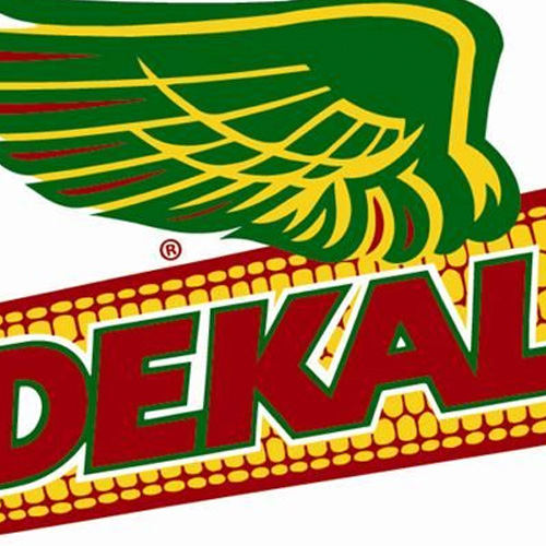 >The Logo That Made DeKalb Famous